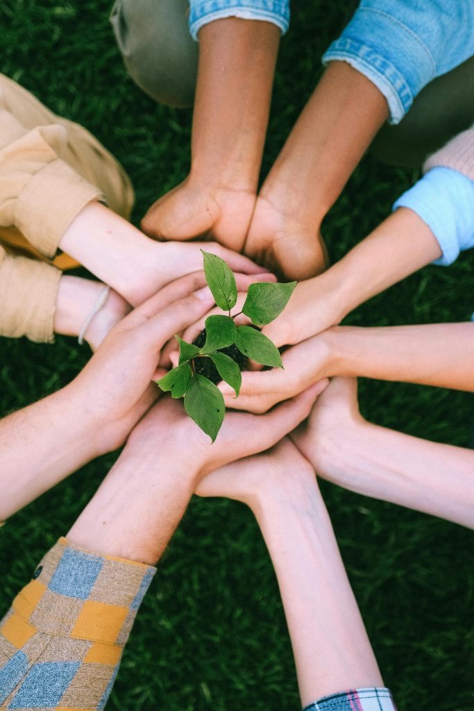 pexels photo 5029919 5029919 Hands united around a plant symbolizing teamwork and eco-friendly efforts outdoors.